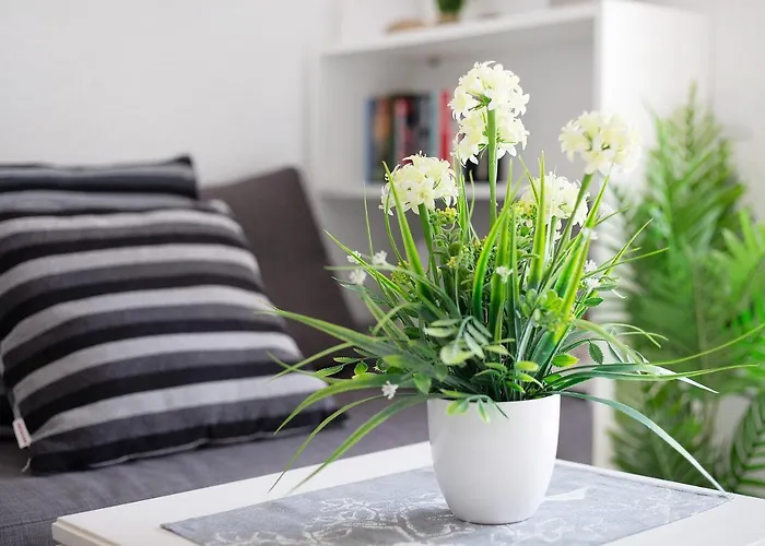 Semesterbostad Casa Campana *